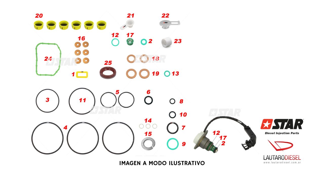 Kit reparo bomba Star Diesel Juego de juntas | 60.160