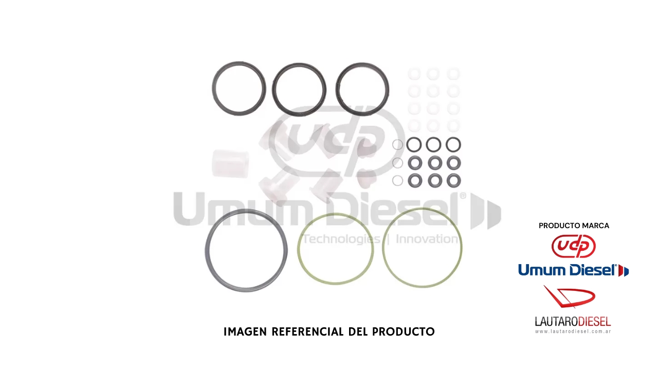 Kit de reparacion de bomba CP1 (más completa) F01M101456 | 837RT2340