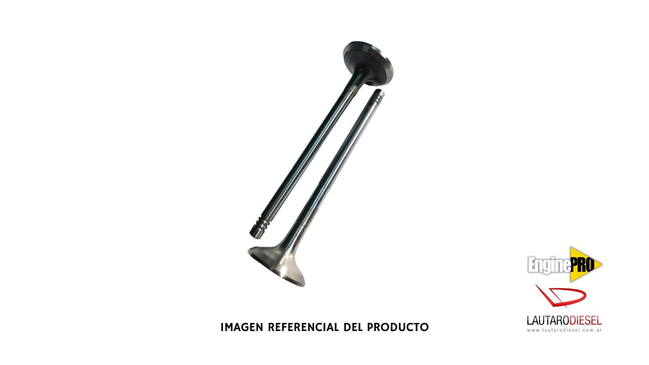 Valvula 3ra etapa EnginePro para Freelander 2.0 TD4 | F00VC01043