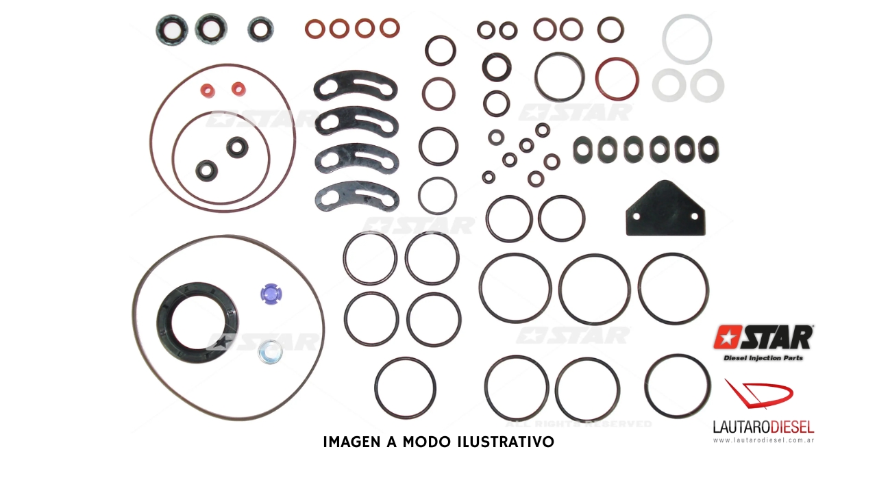 Kit reparo bomba Star Diesel Stanadyne DB4 31498/06